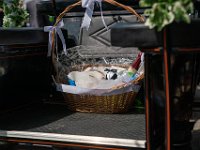 DSC00484-2500