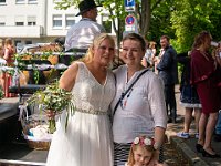 DSC00487-2500