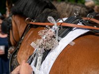 DSC00498-2500