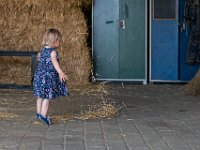 DSC00568-2500