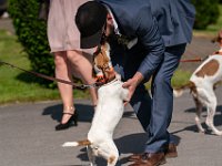 DSC00594-2500