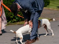 DSC00596-2500