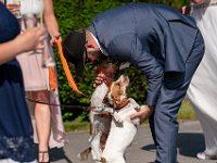 DSC00598-2500
