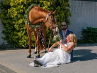 DSC00682-2500