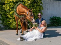 DSC00683-2500