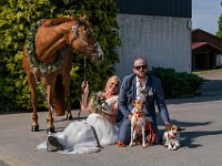 DSC00704-2500