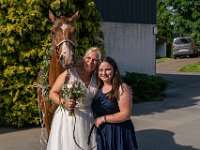 DSC00719-2500
