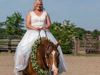 DSC00766-2500