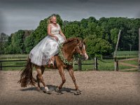 DSC00810-1-2500