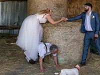 DSC00857-2500