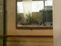 DSC00941-2500