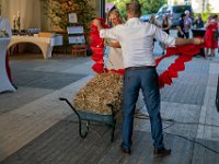 DSC01003-2500