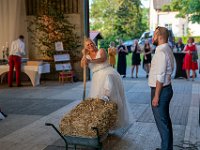 DSC01005-2500