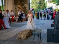 DSC01006-2500
