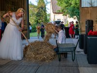 DSC01015-2500