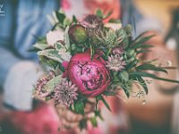 DSC09263-1200