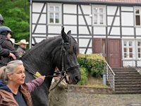 DSC09320-1200
