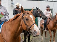 DSC09336-1200
