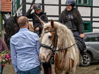 DSC09342-1200