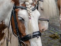DSC09358-1200