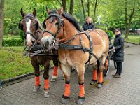 DSC09374-1200